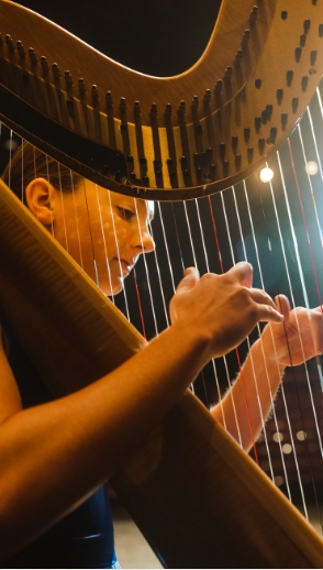 person playing harp