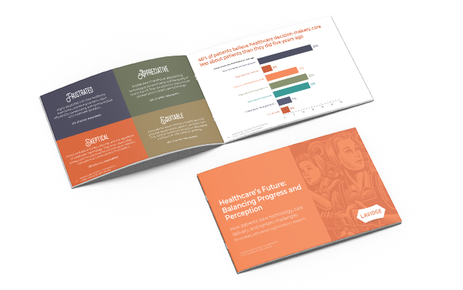 2024 LAVIDGE Healthcare brochure